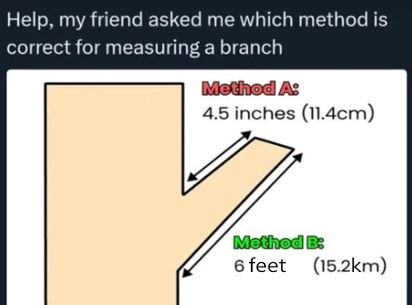 Branch