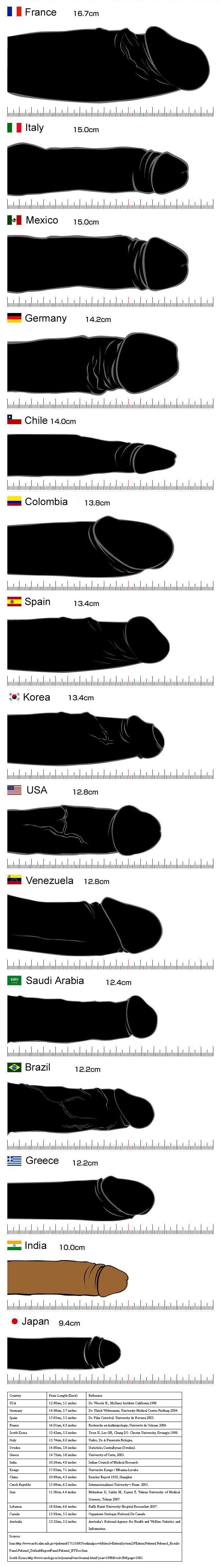 average penis size statistics