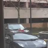 witty skirting well-bred