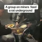 Come here you screwing Rat.